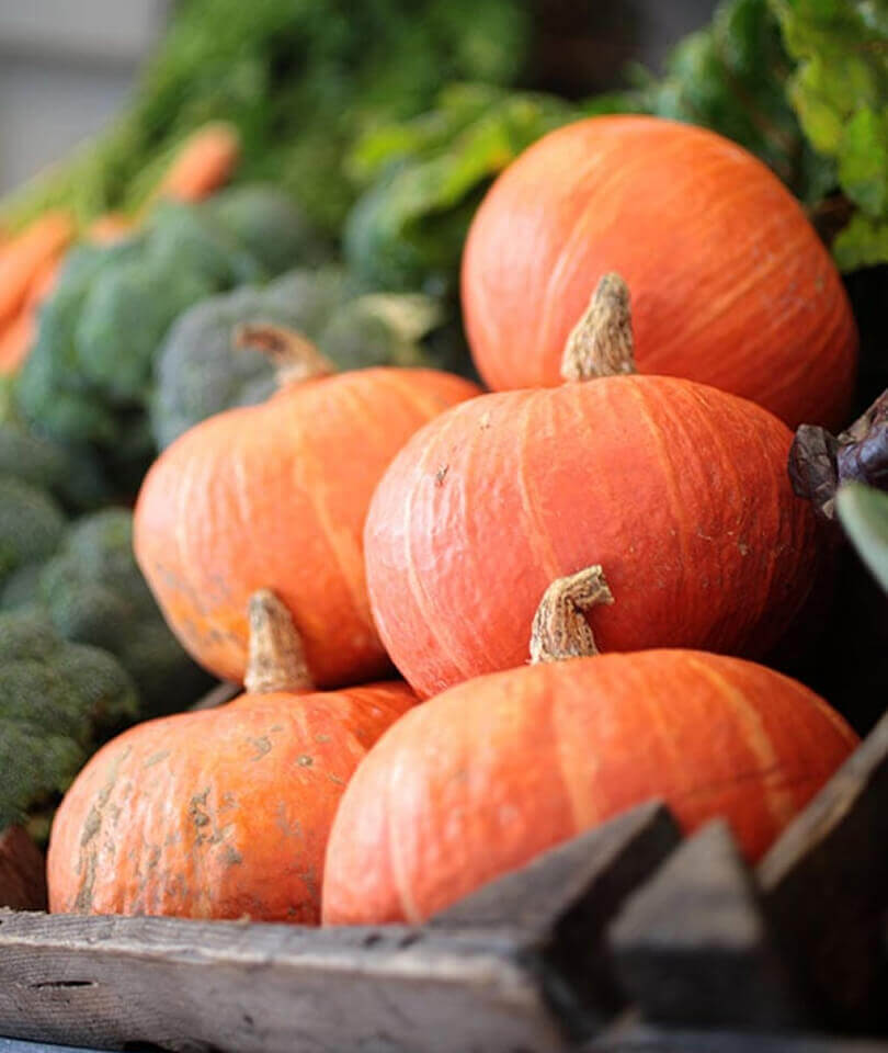 farmers-market-19