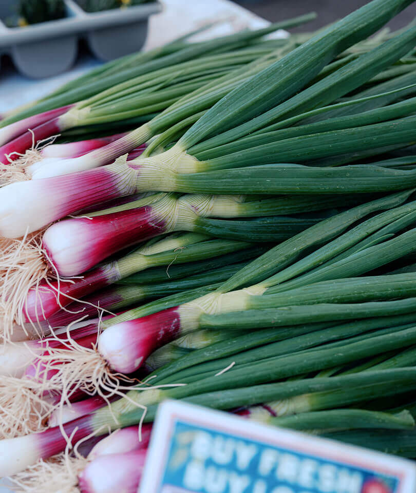 farmers-market-21