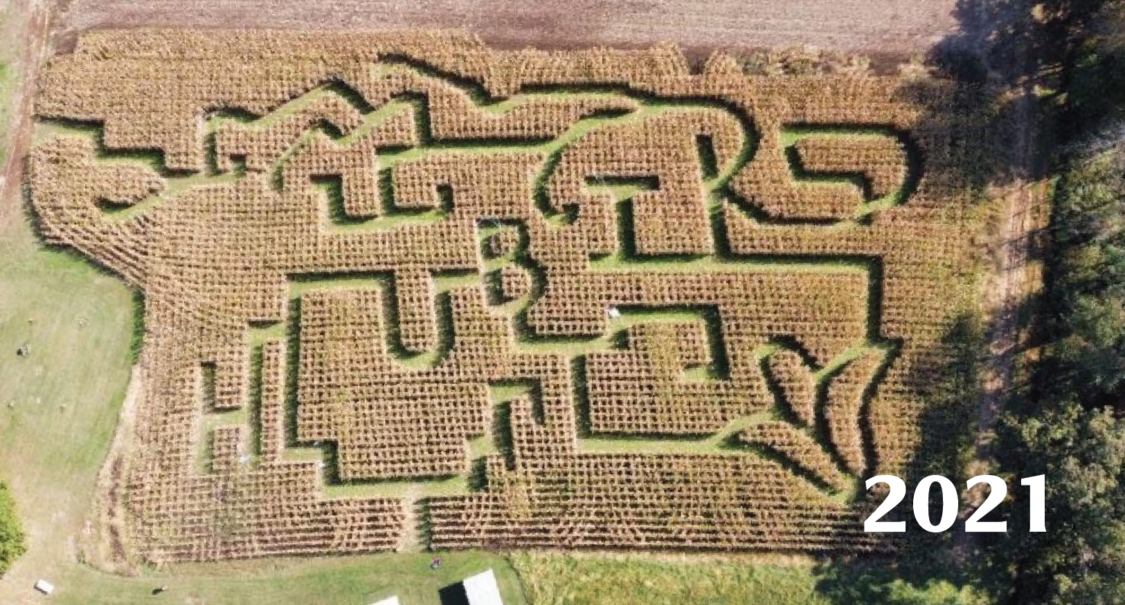 CornMaze2021