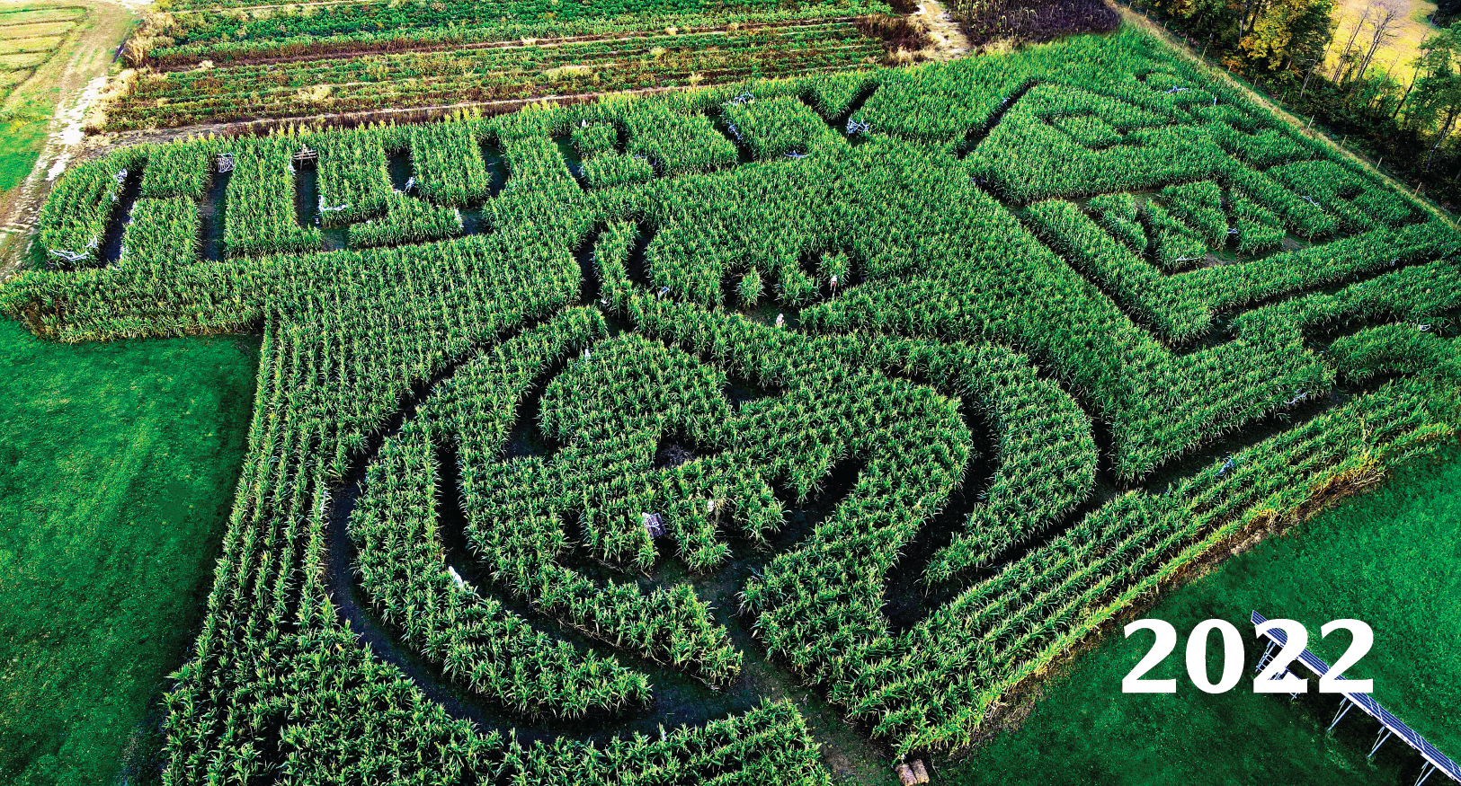 CornMaze2022
